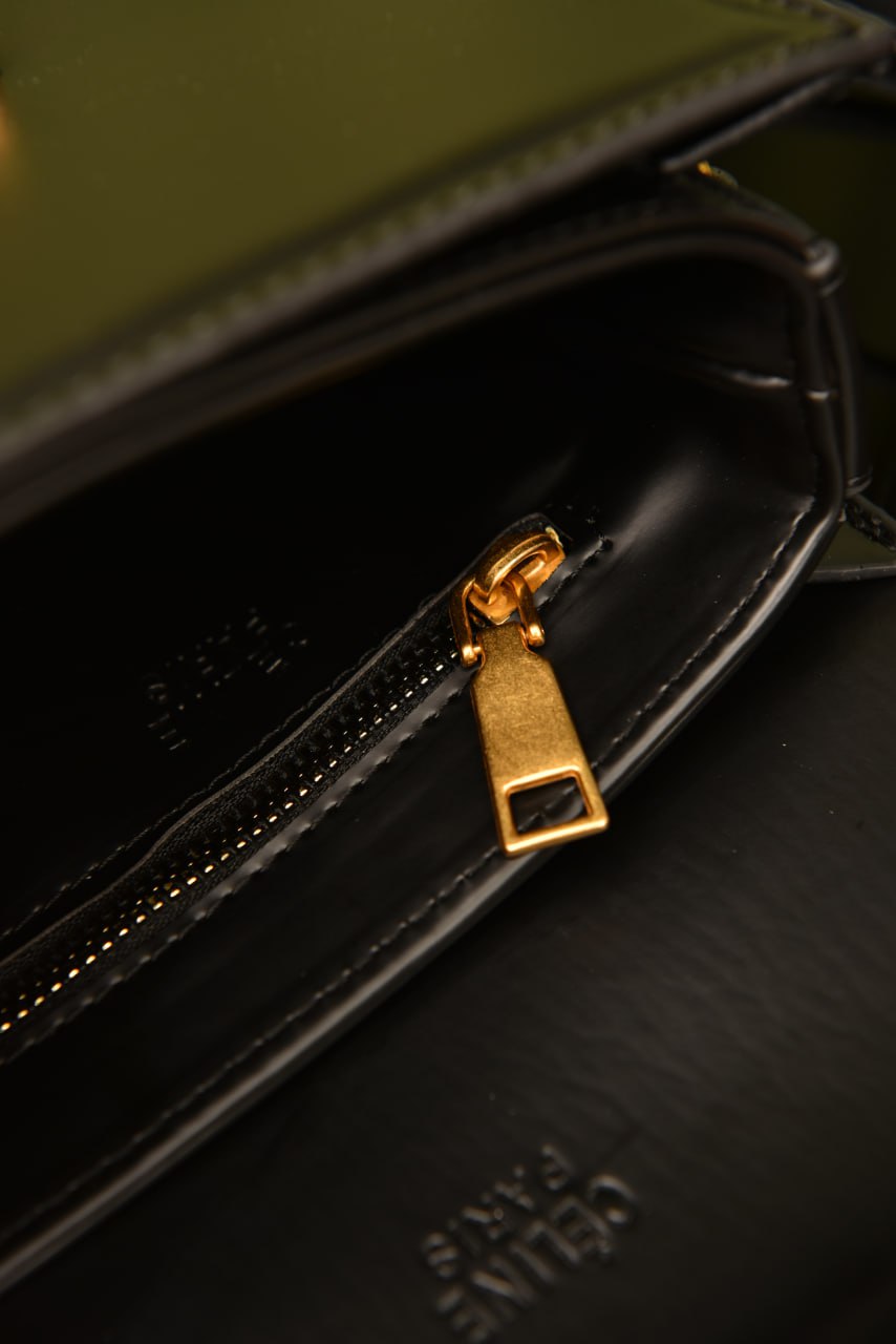 CLN - Classique Triomphe Bag in Shiny